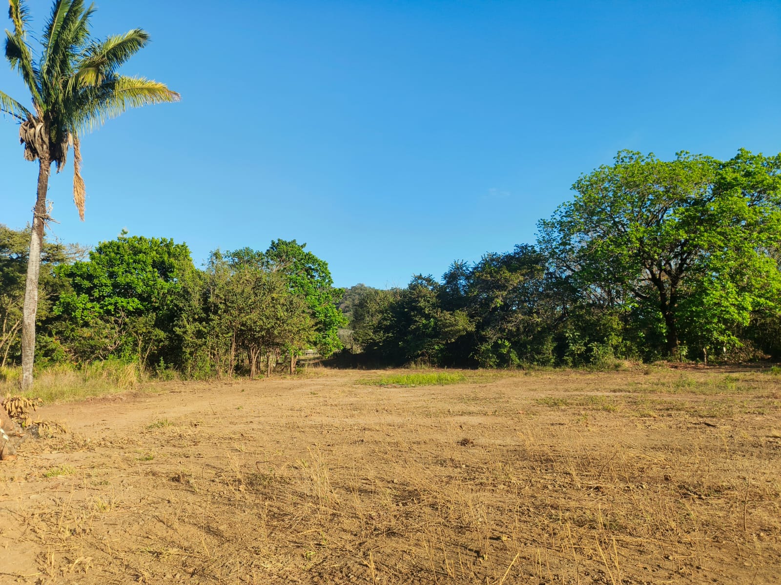 Playa Ostional coastline.